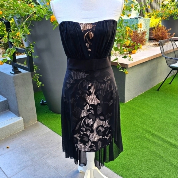 Shop WTD ✦ Strapless Lace Mini Dress ✦ Nude Lining w/ Chiffon Overlay & High-Low - Picture 3 of 17